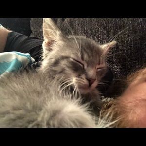 Meet your Posher, Taylor